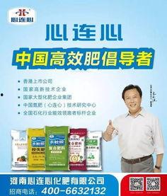 农信社最新爆料,揭秘农村金融改革新动向